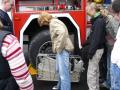 Jedna skupina zamila na exkurzi do hasisk stanice v Sokolov